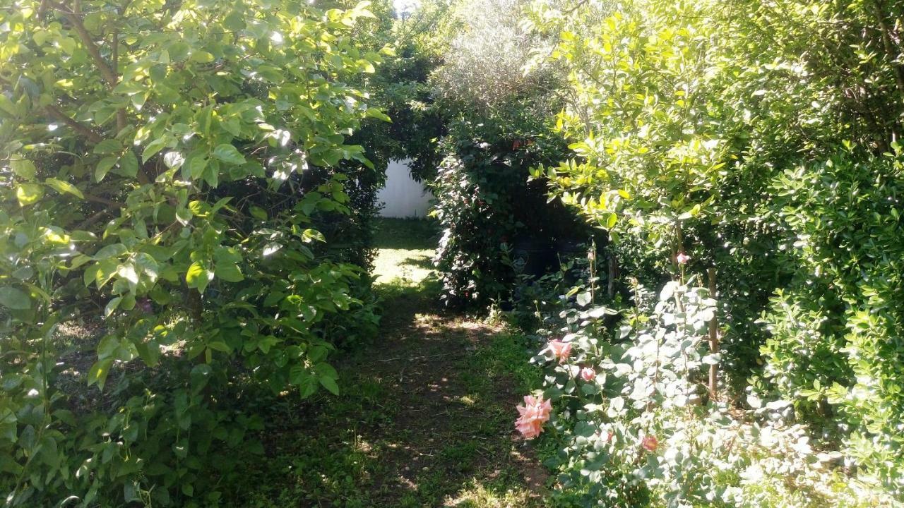 Casa Landim Villa Buitenkant foto